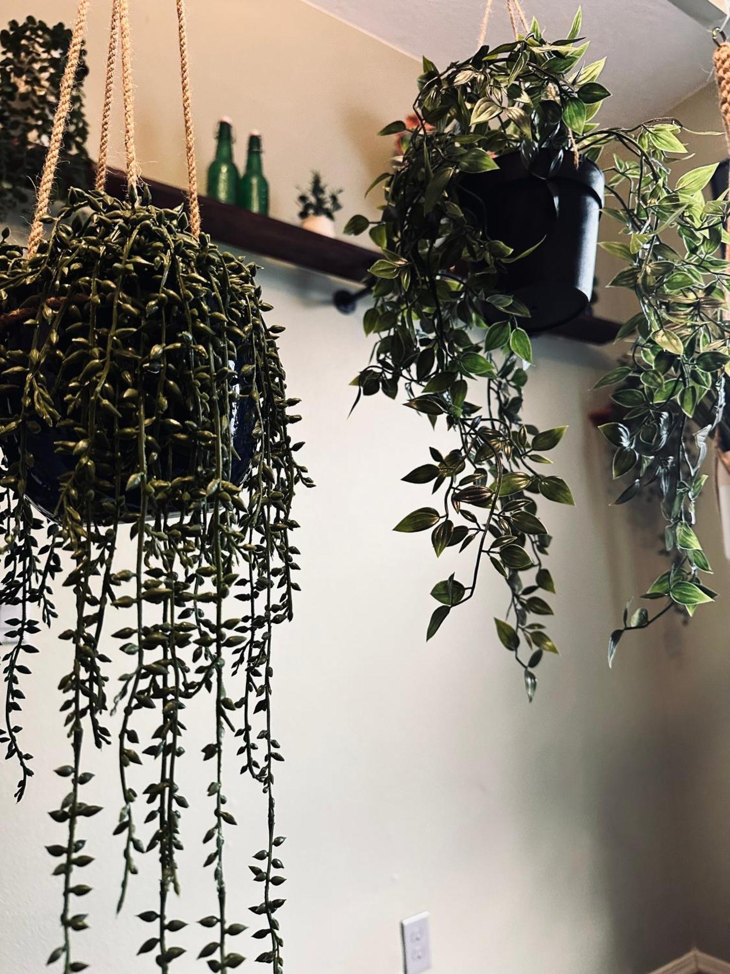 塞勒姆Mr. Mcgregor'S Garden公寓 外观 照片